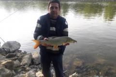 94489420_2558169627757466_6882621062467551232_o